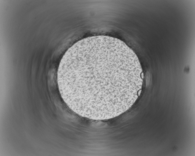 X0000113141059200910161150