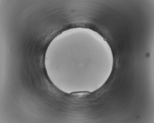 X0000113141060200910161150