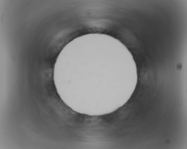 X0000113141061200910161150