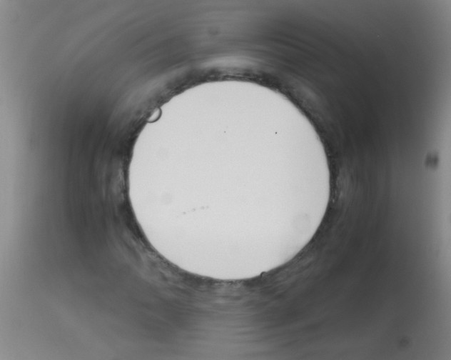 X0000113141062200910161150