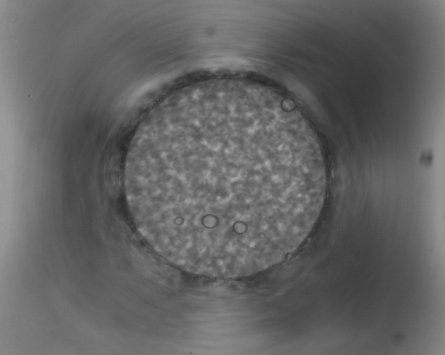X0000113141063200910161150