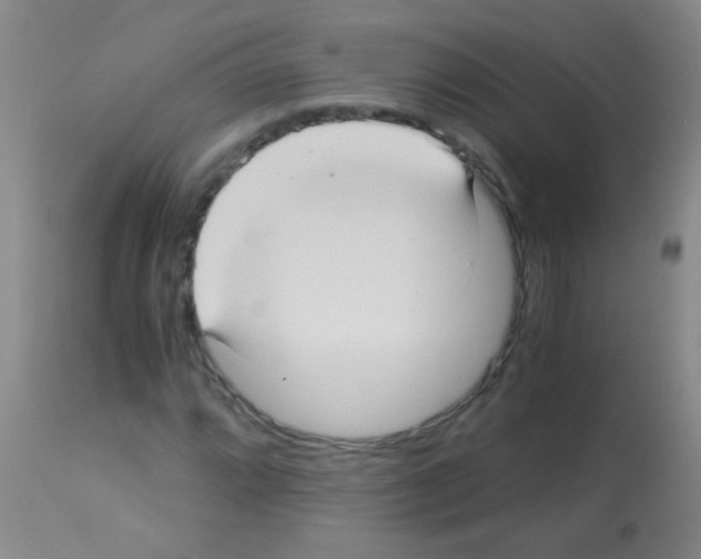 X0000113141064200910161150