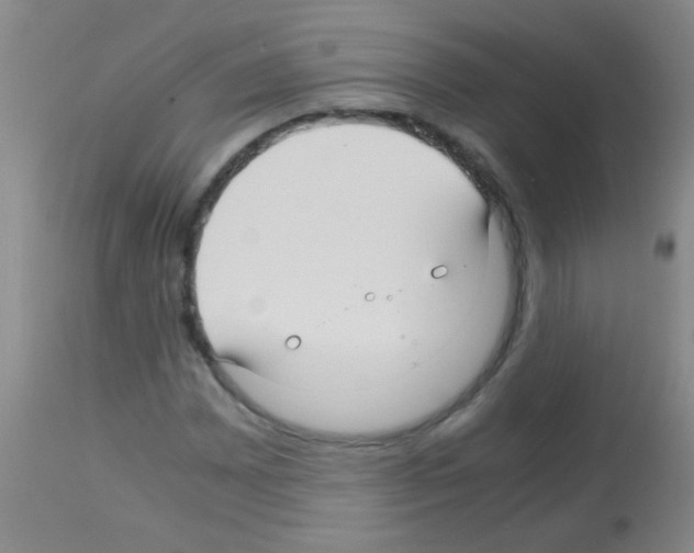 X0000113141065200910161150