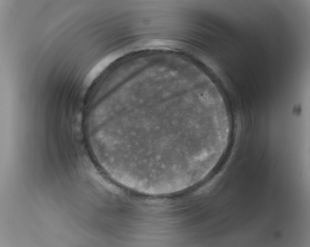 X0000113141066200910161150
