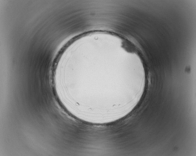 X0000113141068200910161150