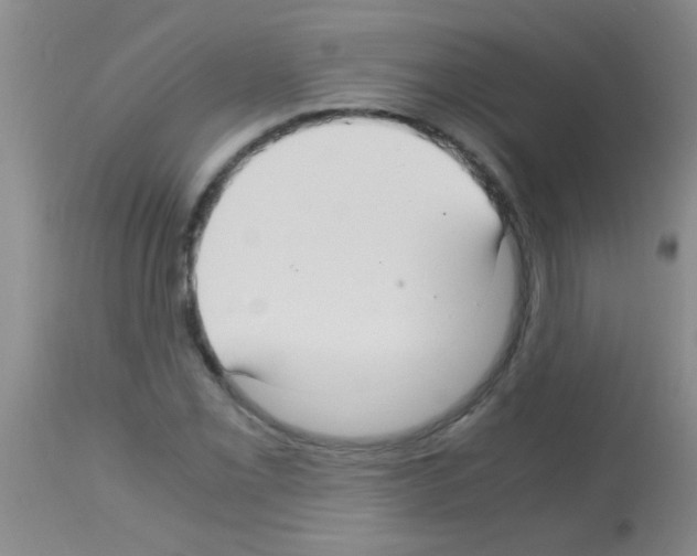 X0000113141069200910161150
