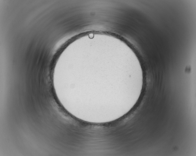 X0000113141070200910161150
