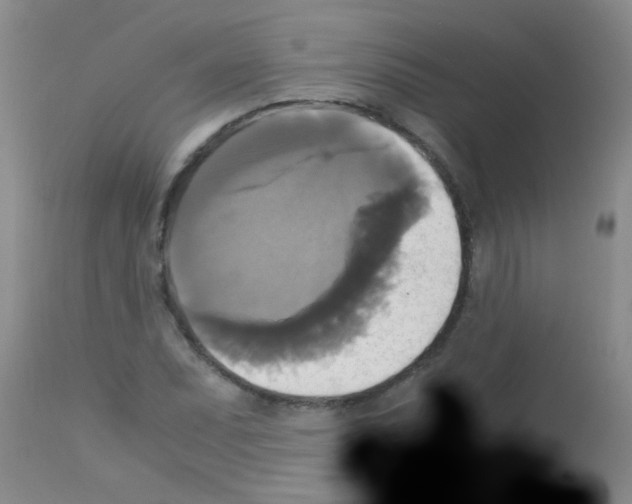 X0000113141071200910161150