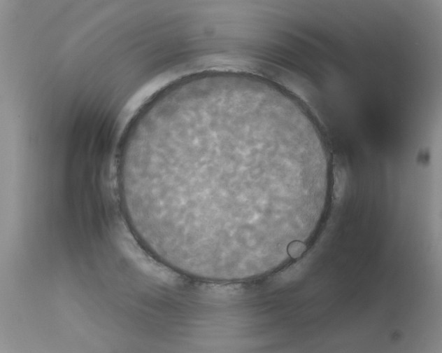 X0000113141074200910161150