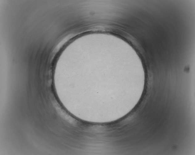 X0000113141075200910161150