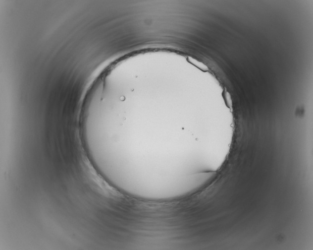 X0000113141076200910161150