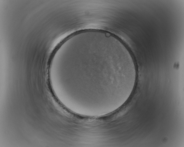 X0000113141077200910161150
