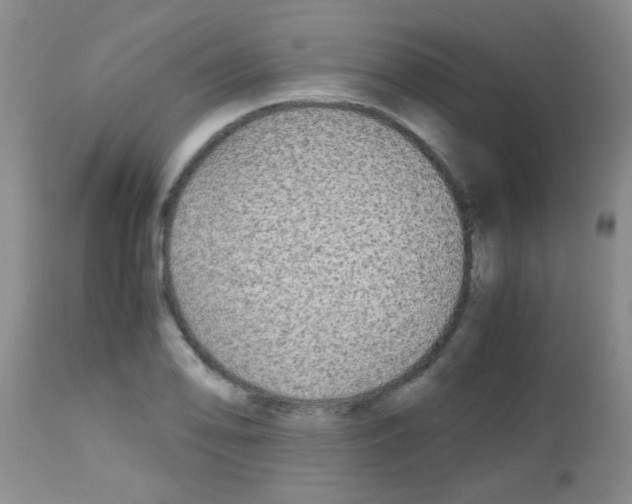 X0000113141078200910161150