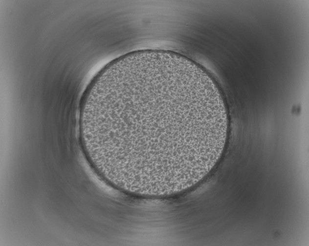 X0000113141079200910161150