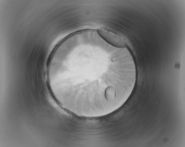 X0000113141080200910161150