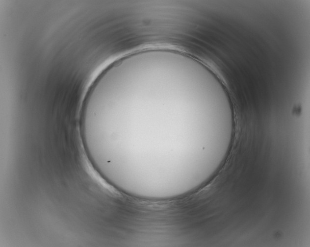 X0000113141084200910161150