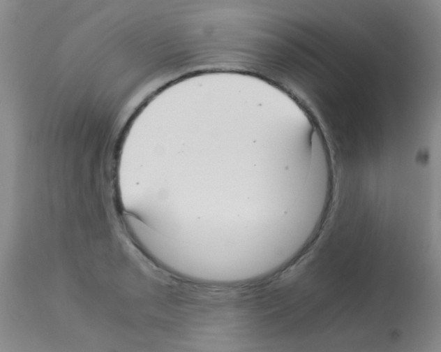 X0000113141085200910161150