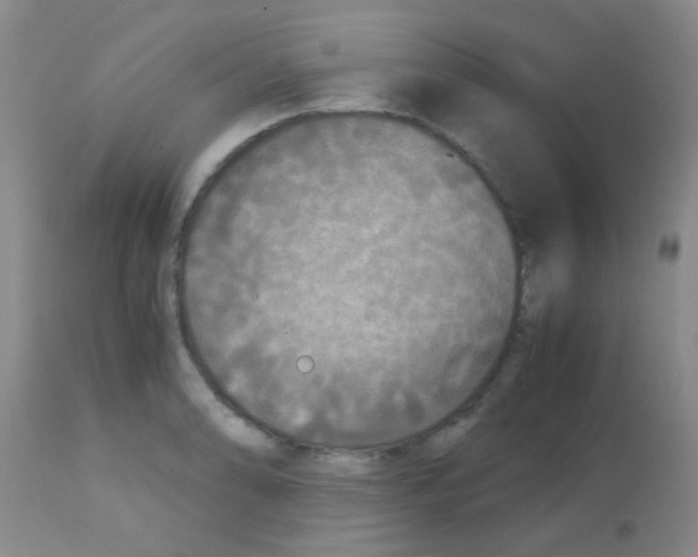 X0000113141086200910161150