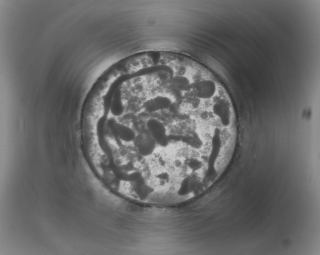 X0000113141087200910161150