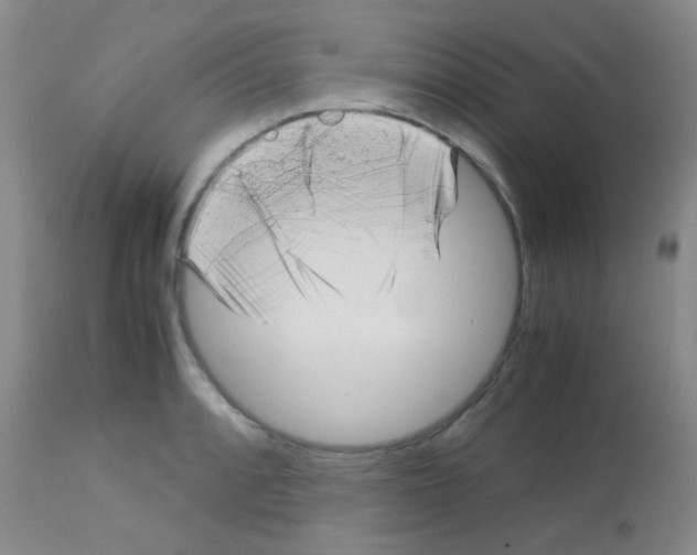 X0000113141088200910161150