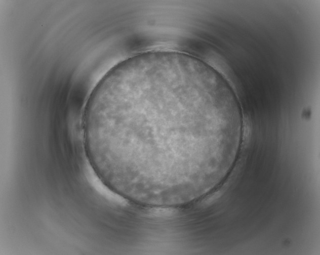 X0000113141090200910161150