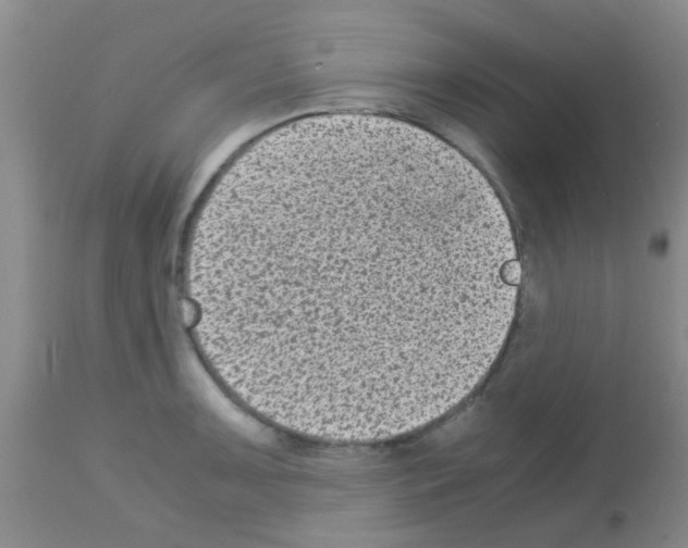 X0000113141091200910161150