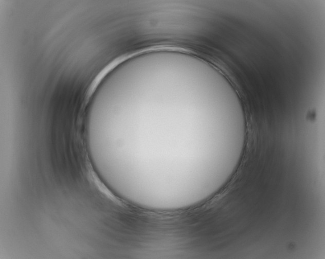 X0000113141092200910161150