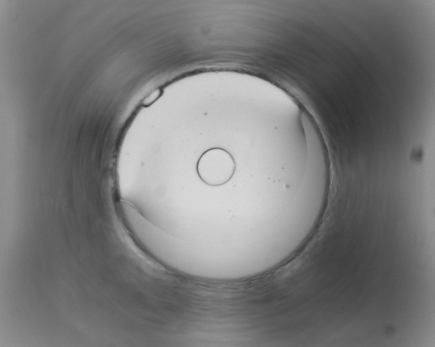 X0000113141093200910161150