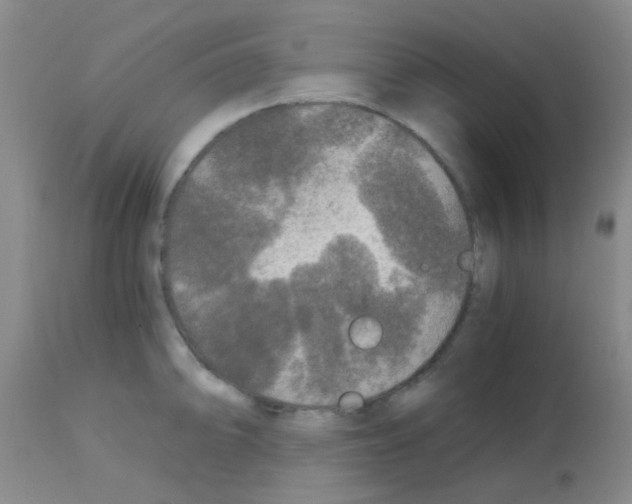 X0000113141094200910161150