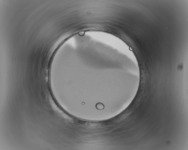 X0000113141095200910161150
