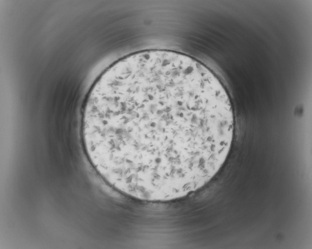 X0000113141096200910161150