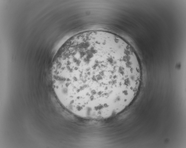 X0000113141097200910161150