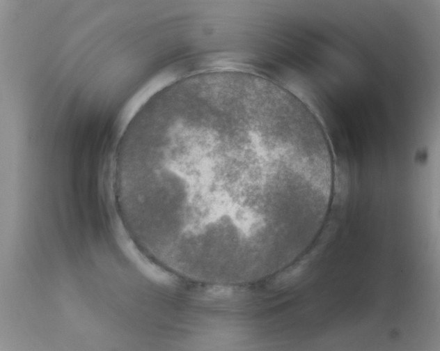 X0000113141098200910161150