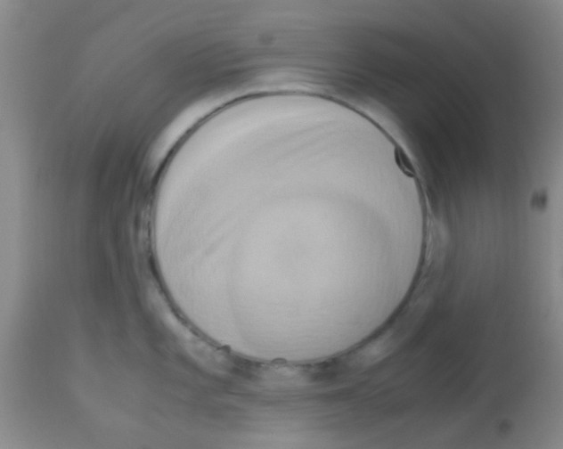X0000113141101200910161150