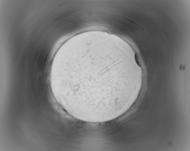 X0000113141104200910161150