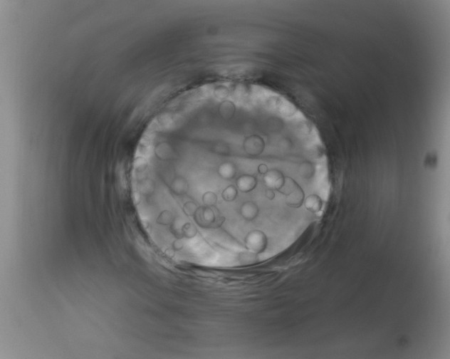 X0000113141106200910161149