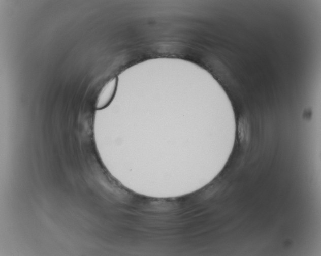 X0000113141107200910161149