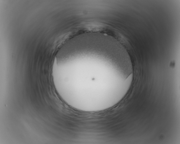 X0000113141108200910161149