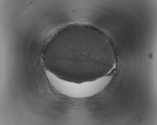 X0000113141110200910161149
