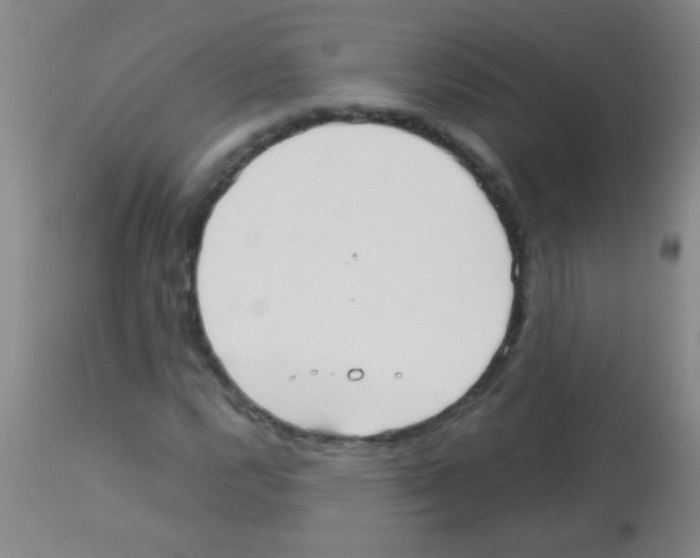 X0000113141112200910161149