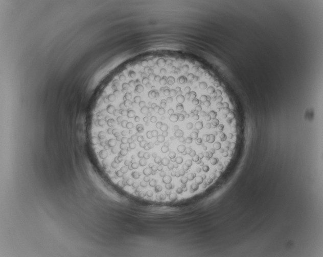 X0000113141113200910161149