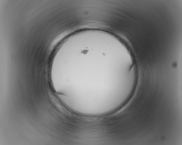 X0000113141114200910161149