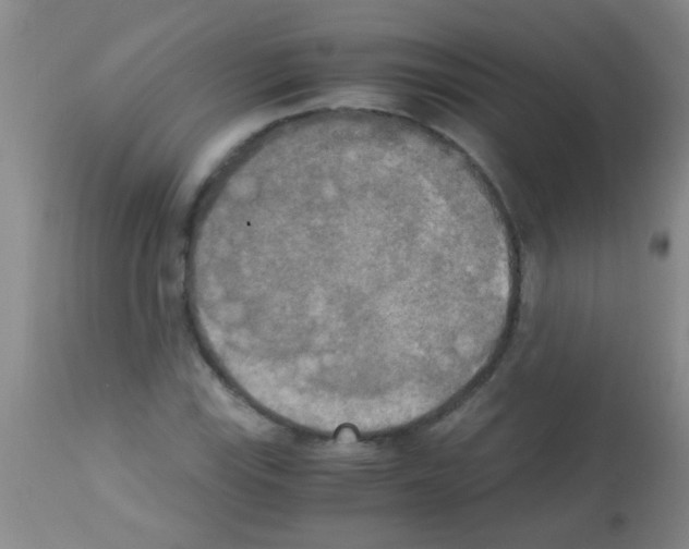 X0000113141115200910161149