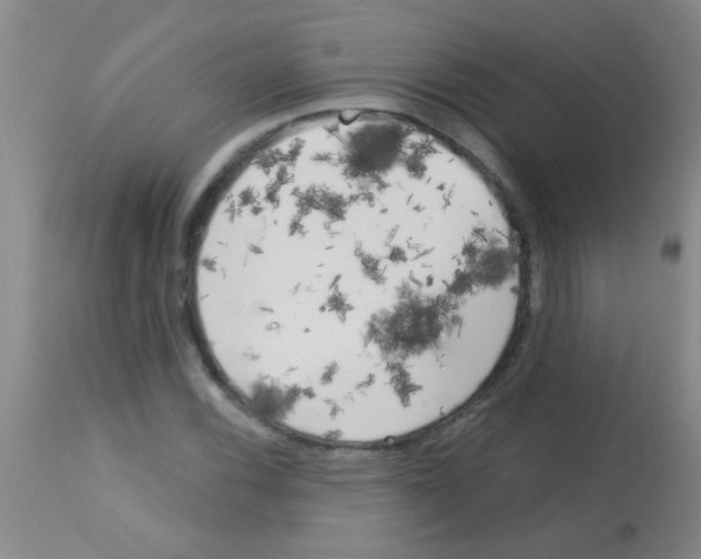 X0000113141116200910161149