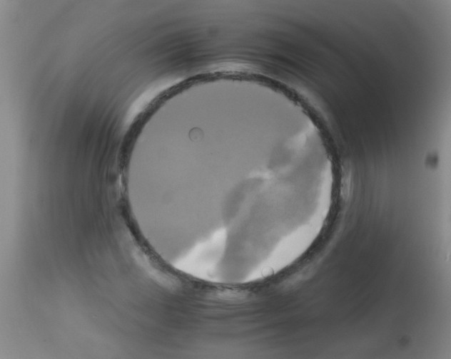 X0000113141117200910161149