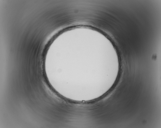 X0000113141118200910161149
