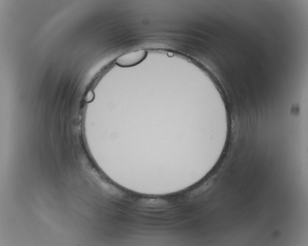 X0000113141119200910161149