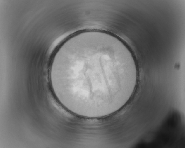 X0000113141120200910161149