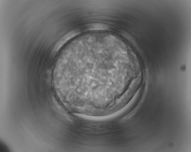 X0000113141121200910161149