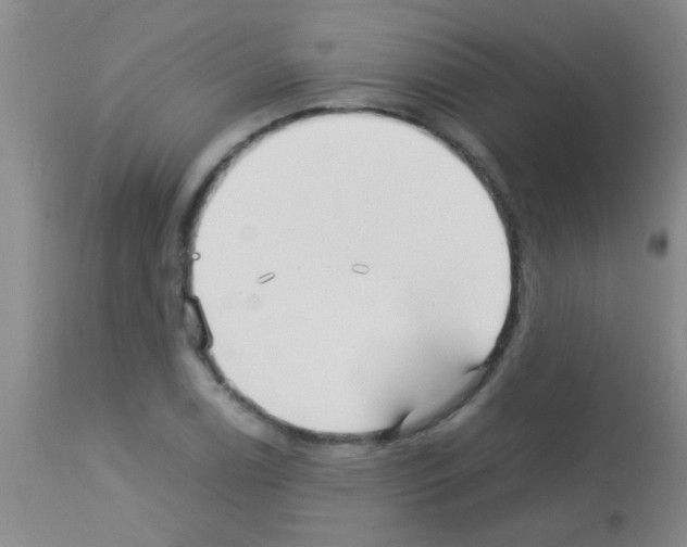 X0000113141122200910161149